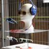 Gert-Jan Soepenberg \ XPO Biobased